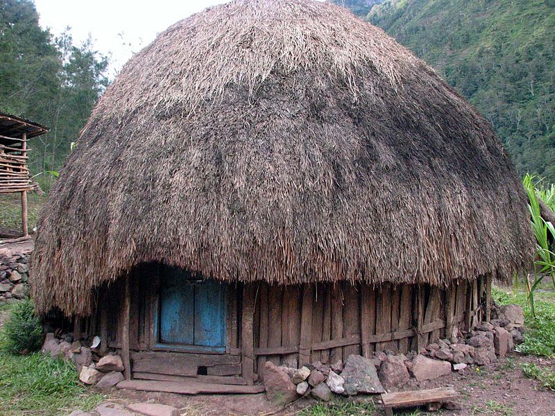Honai Besar
